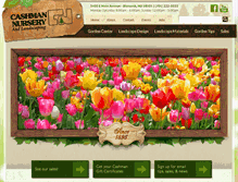 Tablet Screenshot of cashman-nursery.com